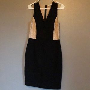 DKNYC Bodycon Dress